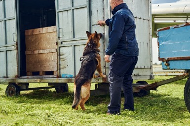 Training Signalering Ondermijning
